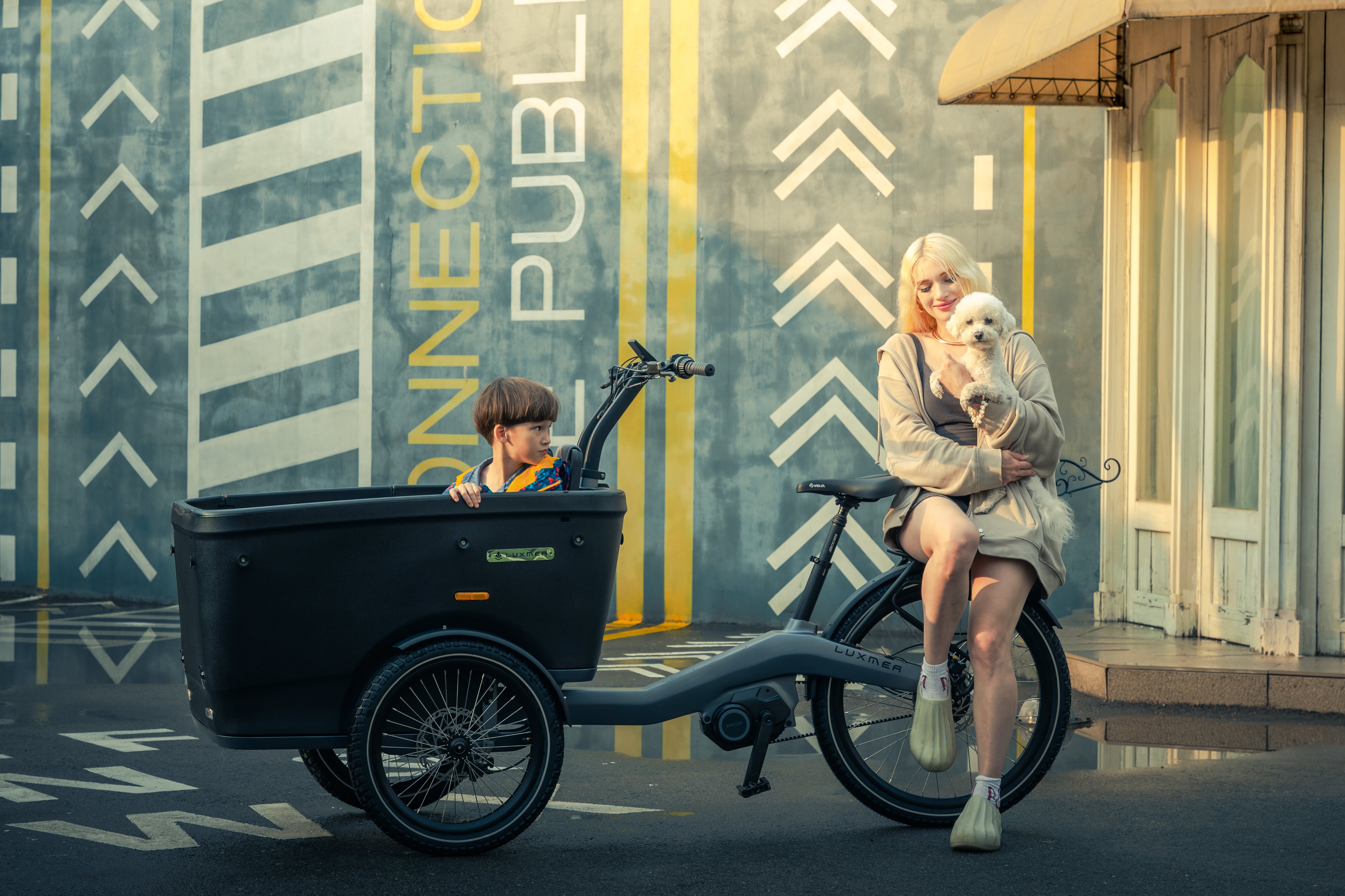 Luxmea cargo bike
