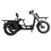 High Power Tricycle Voyager Perfect for Urban Transportation