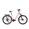 High Performance E-bike SUV for Daily Commuting