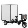 New Arrival Heavy Tricycle T350 for Urban Riding