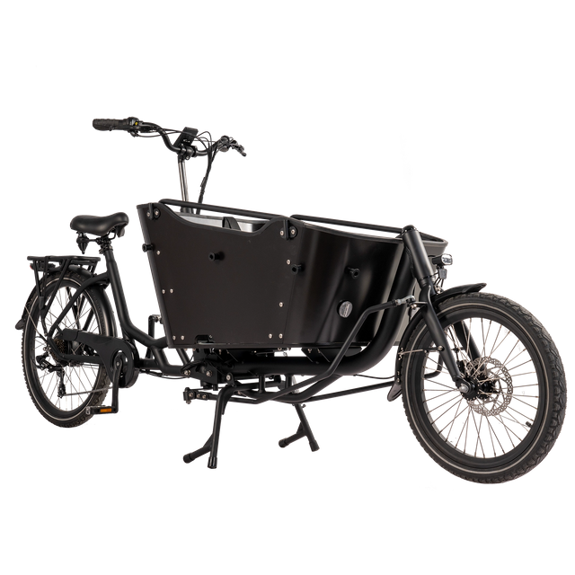 New Released 36V 250W Rear Hub Motor Two Wheel Cargo Bike Designed for Adults