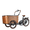 High Capacity Tricycle Smart for Family