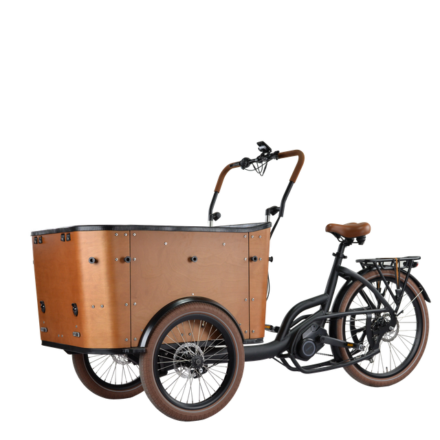 High Capacity Tricycle Smart for Family