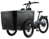 Three Wheel Adults Electric Tricycle Luxury New Style Fashion for Passsenger To Take