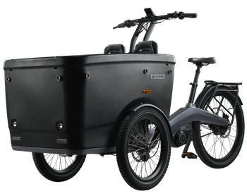 三輪大人電動三輪車 Luxmea を取る乗客のための新しいスタイルの