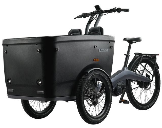 Three Wheel Adults Electric Tricycle Luxury New Style Fashion for Passsenger To Take