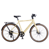 Lightweight E-bike Urban for City Riding