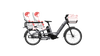High-Capacity Hauling Two-wheeled Cargo Bike for Urban Transportation