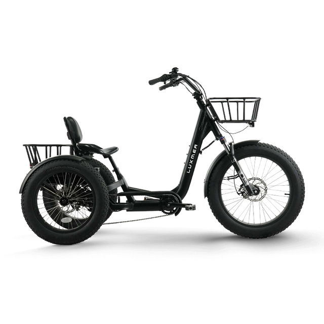 Lasts Longer Electric Three-wheeled Bike for Daily Commuting