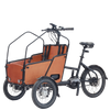 Independent Front-Wheel Steering Tricycle Master Designed for Urban Riding