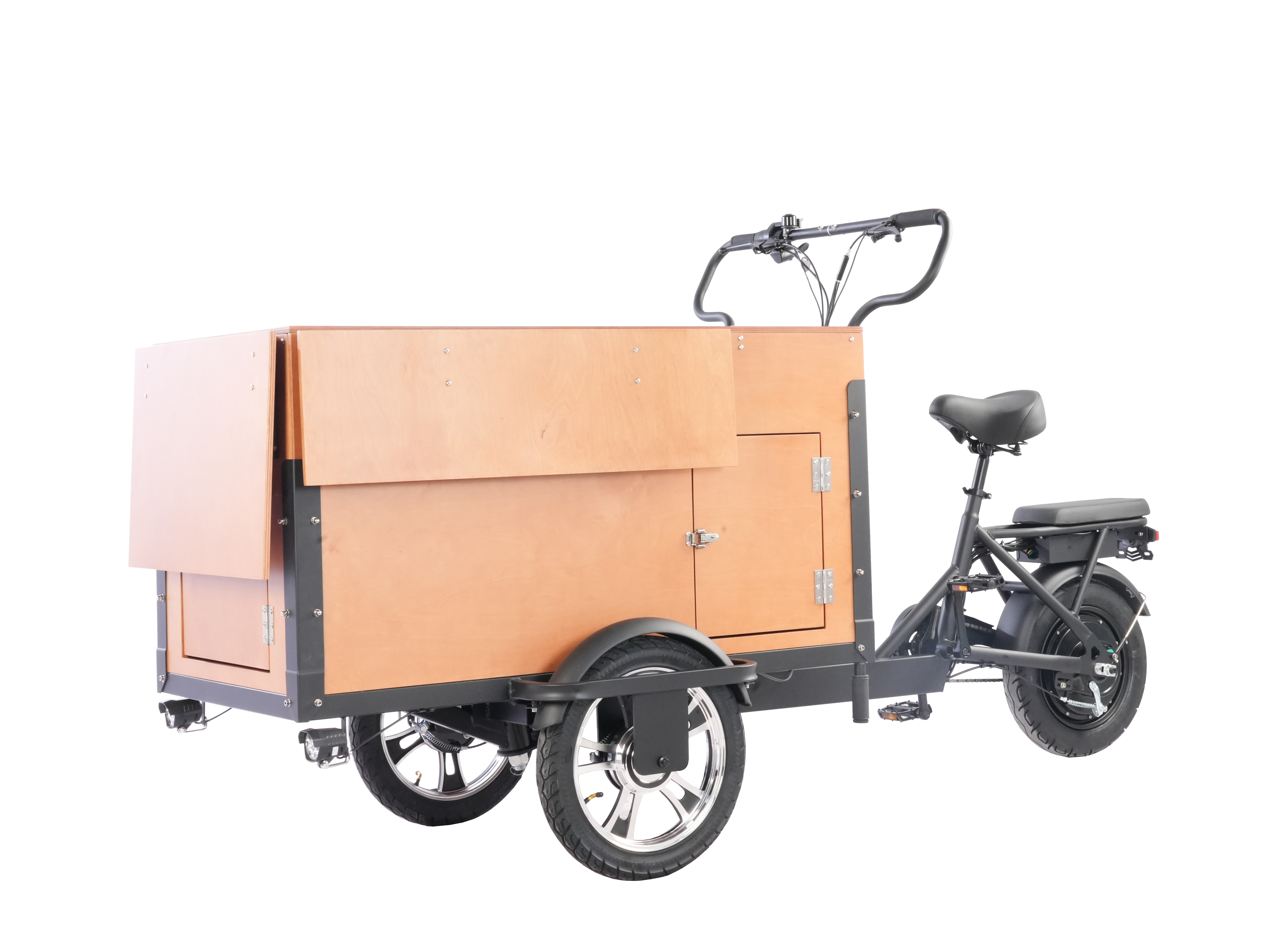 Tricycle cargo