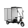 High Capacity Heavy Tricycle T650 for Urban Transportation