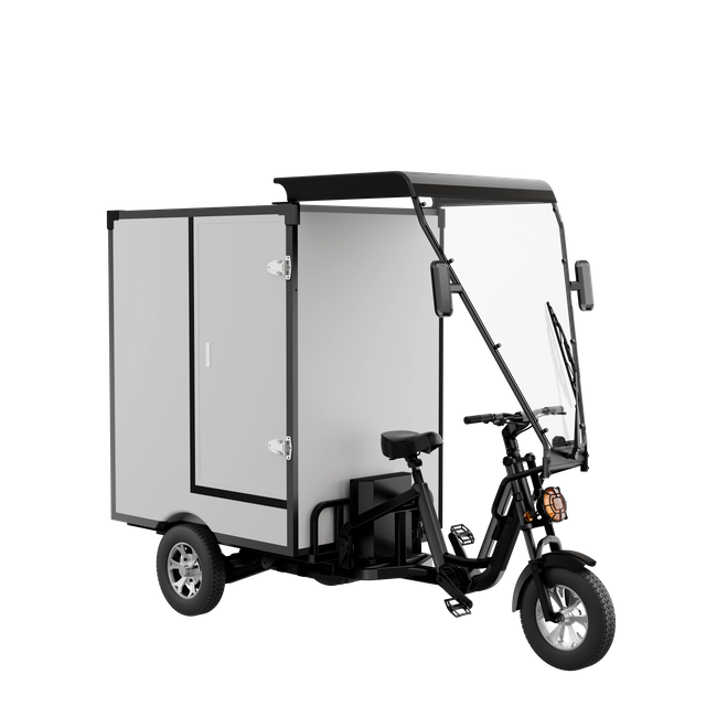 High Capacity Heavy Tricycle T650 for Urban Transportation