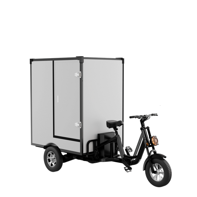 New Arrival Heavy Tricycle T350 for Urban Riding