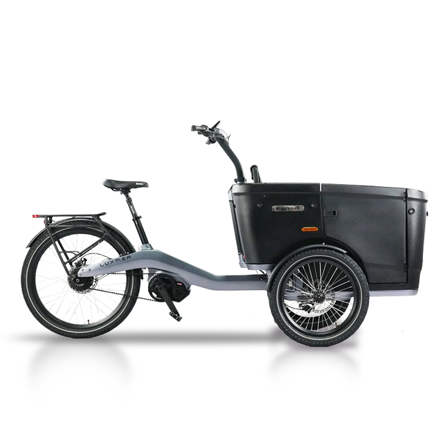 Safe And Reliable Three-wheeled Cargo Bike for Taking Kids