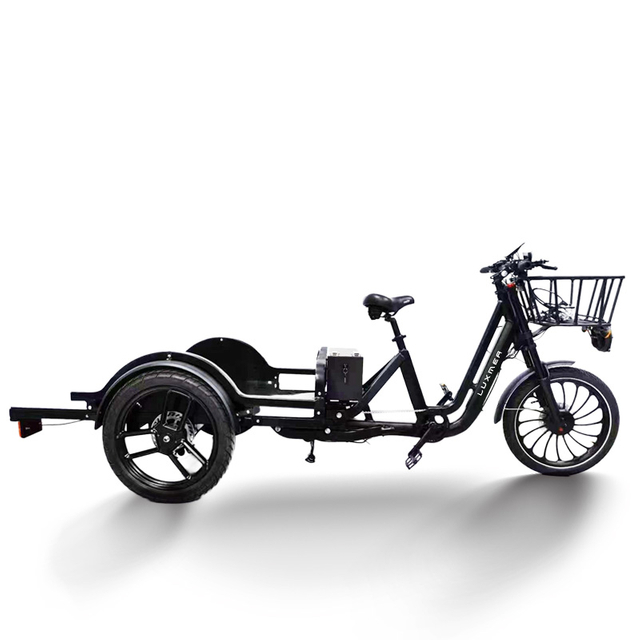 Three-Wheeled Cargo with Infinitely Variable Speed System