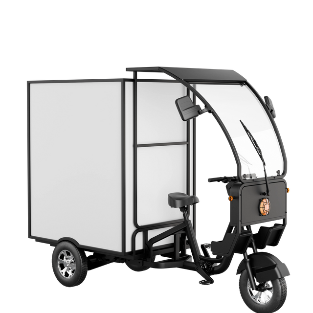 High Capacity Heavy Tricycle T650 for Urban Transportation